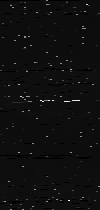 MTVZA-11.png